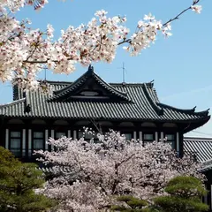 大和郡山市