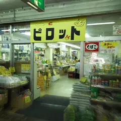 光善寺駅前デパート