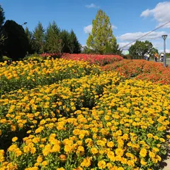 国営備北丘陵公園