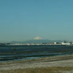 ふなばし三番瀬海浜公園