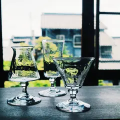 Analogue Life