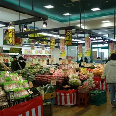 スーパーエバグリーンプラス 和歌山北インター店