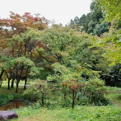 もみじ谷