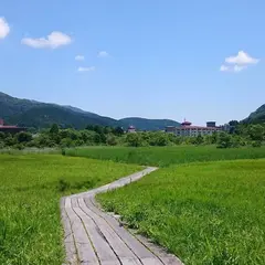 箱根湿生花園