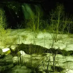新平湯温泉 タルマかねこおり ライトアップ
