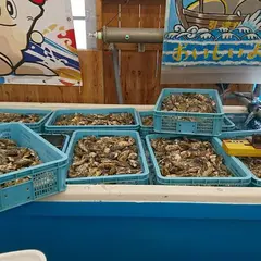 カキハウス マルハチ