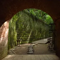 猿島