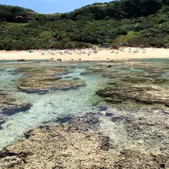 吉野海岸