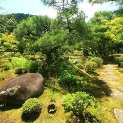 大寧軒