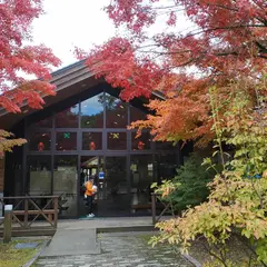 日光だいや川公園 オートキャンプ場