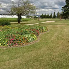 キリンビアパーク福岡（コスモス名所）