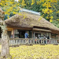 金言寺