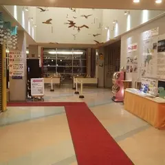 流氷砕氷船ガリンコ号II