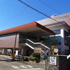 アイビーボール向島