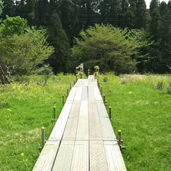 チバニアン 地球磁場逆転地層