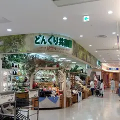 どんぐり共和国