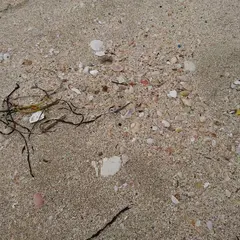 増穂浦海岸