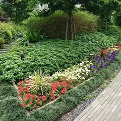 中之島四季の丘