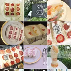 フルーツダイニングパレット