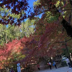 九年庵