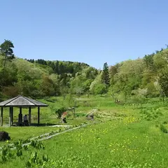 雪国植物園