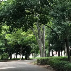 都立小金井公園