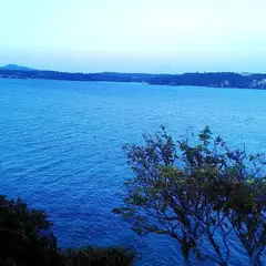 宇望庵
