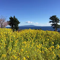 ニューヨークランプミュージアム＆ フラワーガーデン