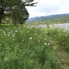 バラギ湖フィッシングエリア