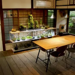苔むすび