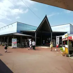 志布志湾大黒イルカランド