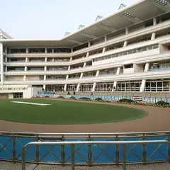 中山競馬場