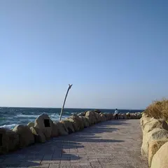 伊良湖岬