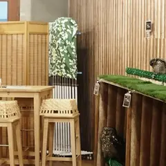 ふくろうの家族