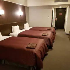 豊川コロナワールド