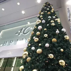 ４℃ Bridal｜結婚指輪・婚約指輪のブライダル専門店｜銀座本店
