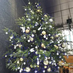 銀座山野楽器 本店