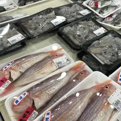 上天草物産館さんぱーる