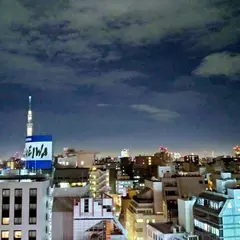トーセイホテル ココネ上野