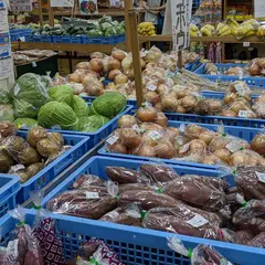 道の駅 ぎのざ