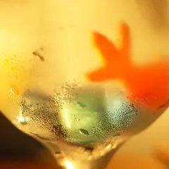 シャララ舎 笹塚店