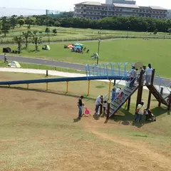 浦安市高洲海浜公園