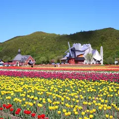 かみゆうべつチューリップ公園