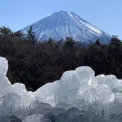 西湖野鳥の森公園