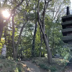国際文化会館