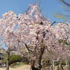 中町公園