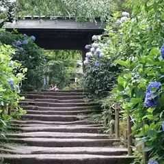 明月院 山門