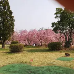 たけべの森公園
