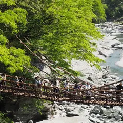 祖谷のかずら橋