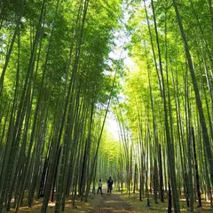 若山農場
